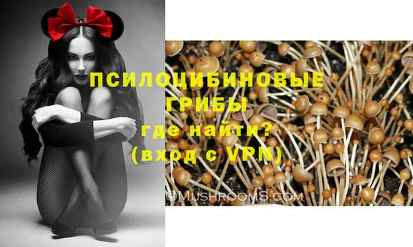 тгк Абинск