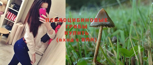 ALPHA PVP Медвежьегорск